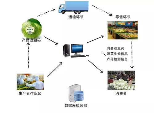 漫谈 完善农产品质量追溯体系 还需从消费者入手